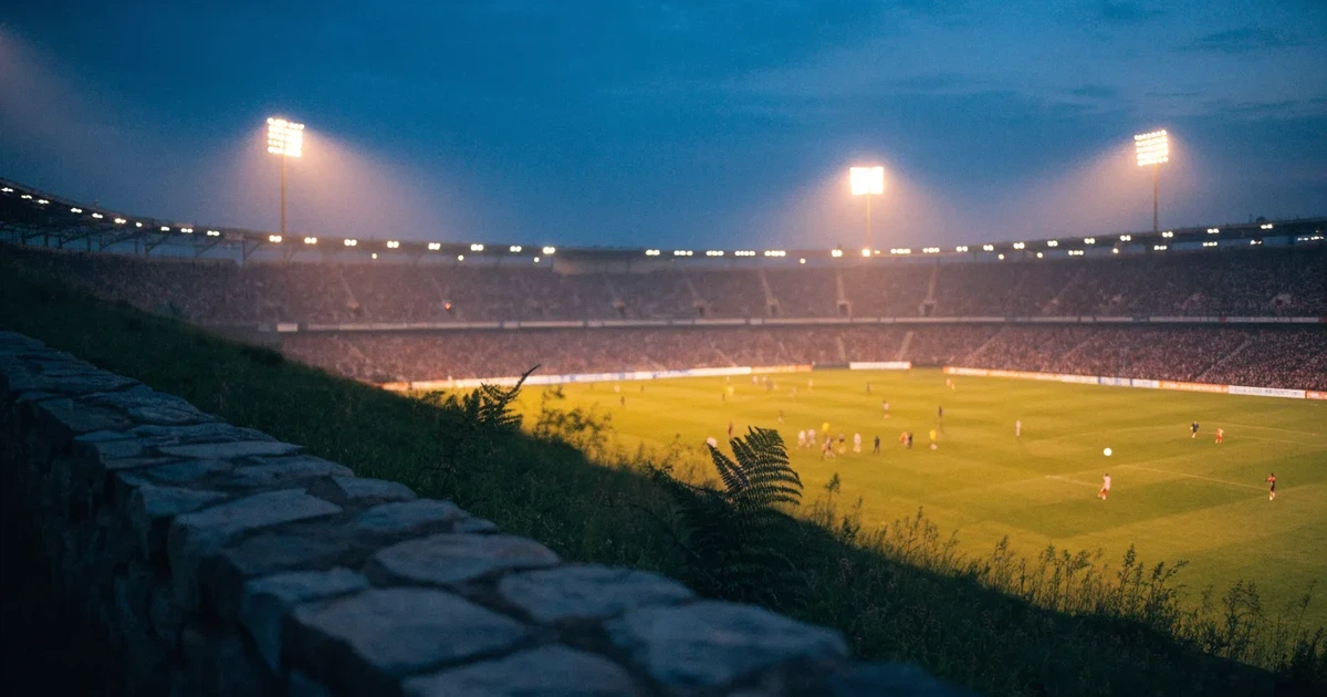 Ein Fussballstadion bei Flutlicht von einer Anhöhe aus gesehen, der Rasen leuchtet grün unter dunklem Abendhimmel